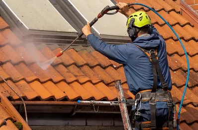Démoussage et hydrofuge de toiture à Rochetoirin